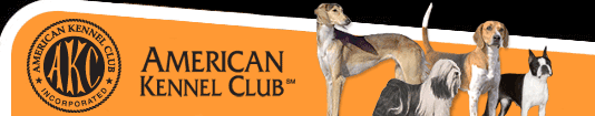 American Kennel Club